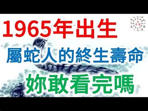 65歲屬什麼